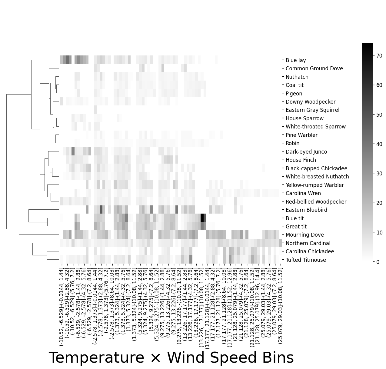 Species Clustermap Using Visits and Weather