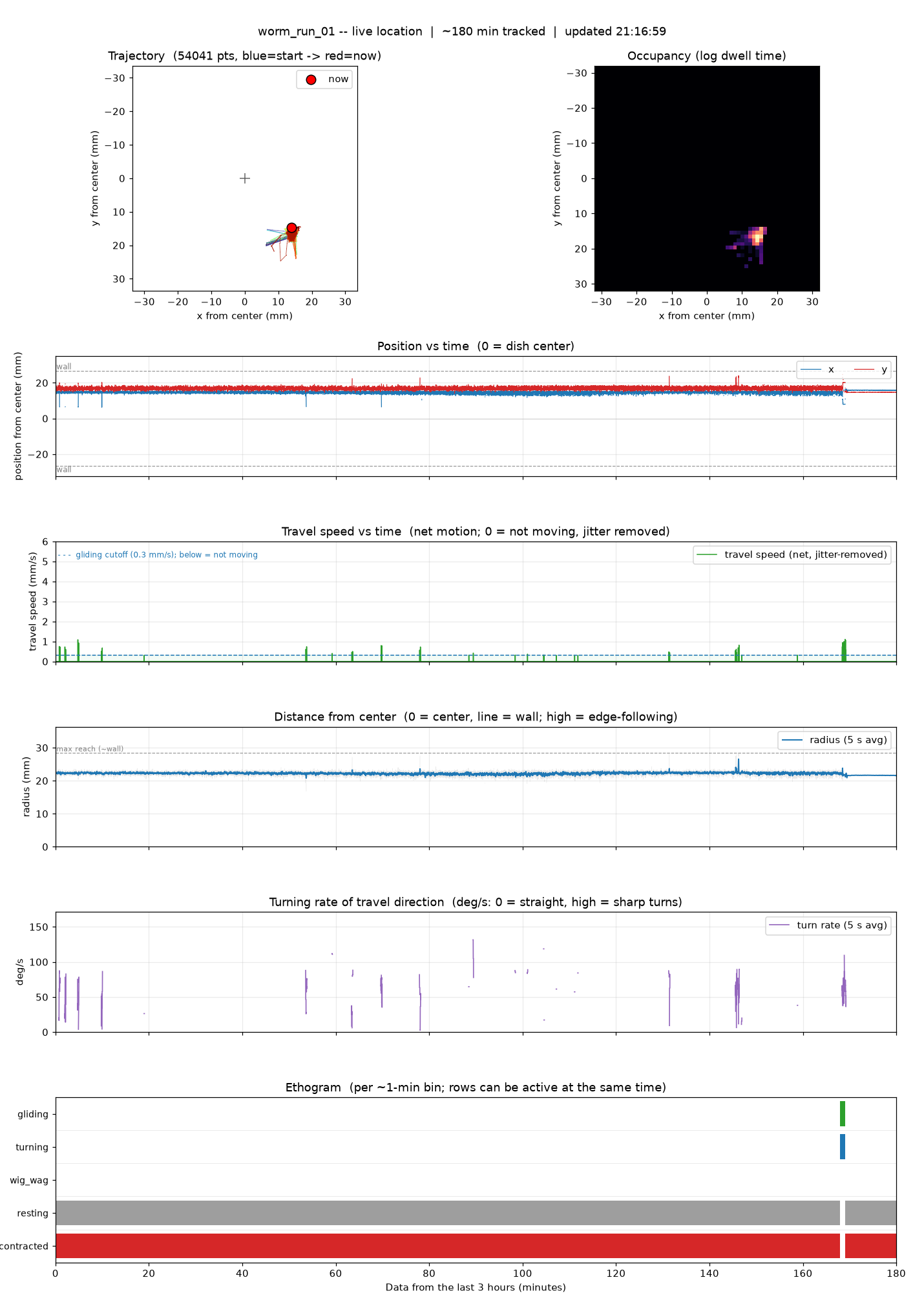 Live planarian tracking plots